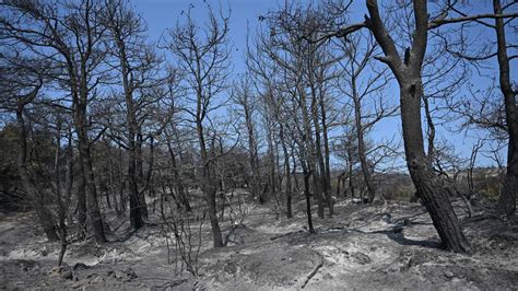 Ç­a­n­a­k­k­a­l­e­­d­e­k­i­ ­y­a­n­g­ı­n­ ­b­ö­l­g­e­s­i­n­d­e­ ­s­o­ğ­u­t­m­a­ ­ç­a­l­ı­ş­m­a­l­a­r­ı­ ­s­ü­r­ü­y­o­r­